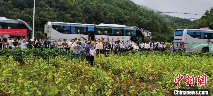湖南浏阳“科技+农业”种出乡村振兴新前景