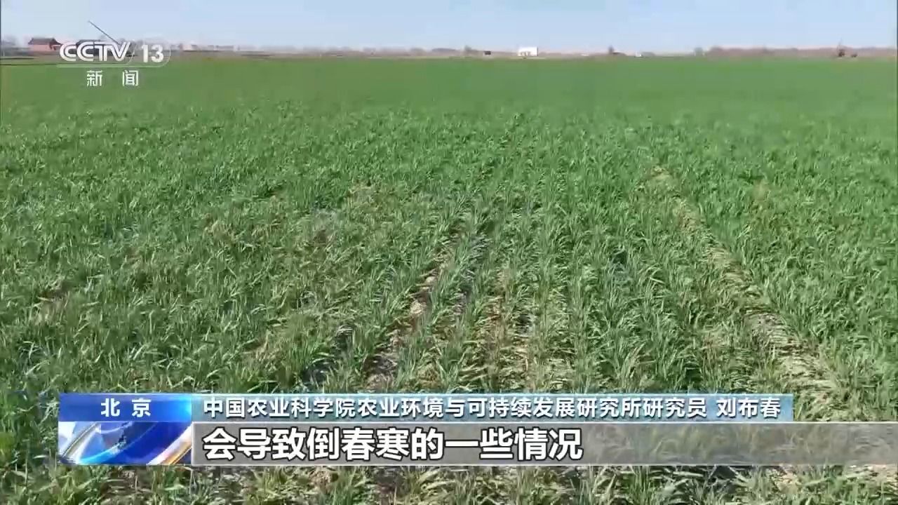 中东部气温骤降 对春耕春管影响几何？如何应对？