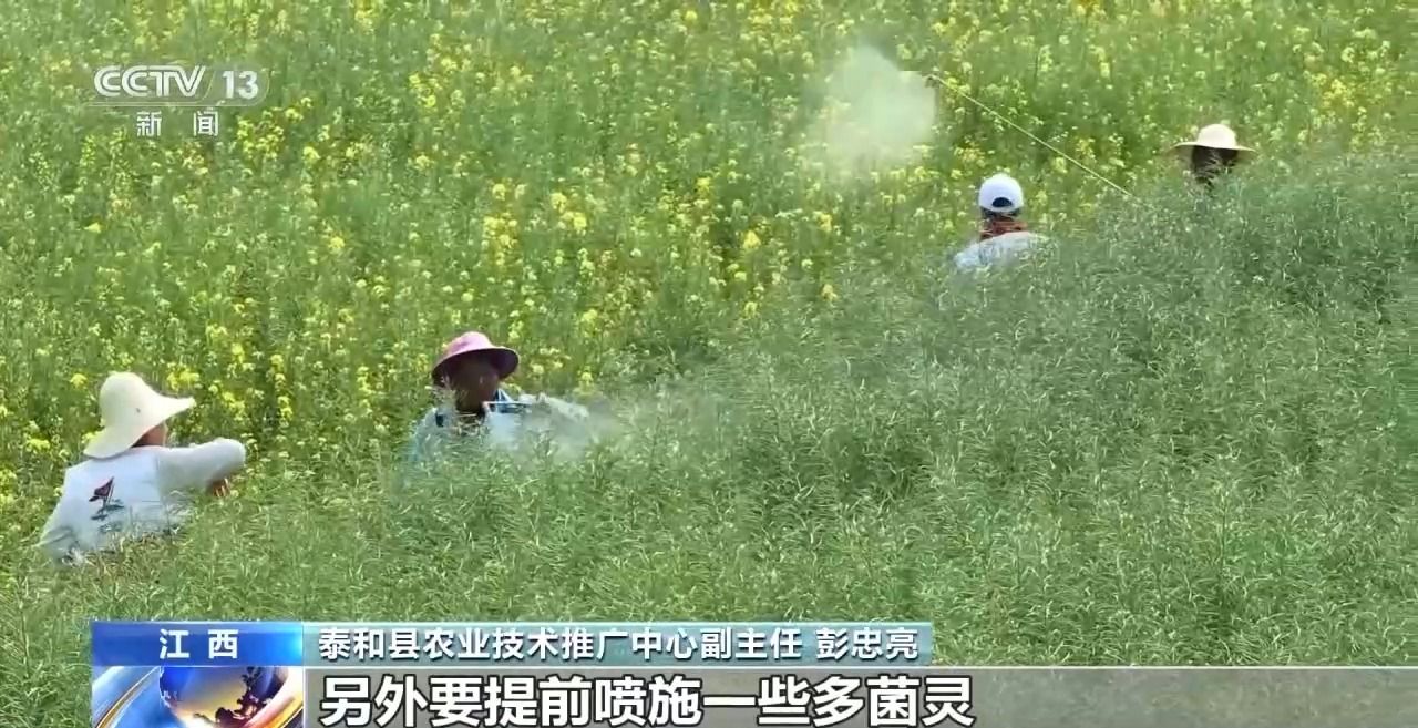 中东部气温骤降 对春耕春管影响几何？如何应对？