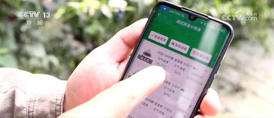水果刺客→亲民爆款 科技为百姓“果盘子”注入“鲜”力量