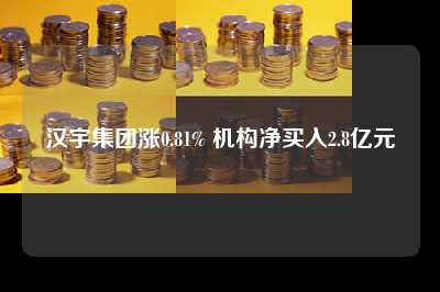 汉宇集团涨0.81% 机构净买入2.8亿元